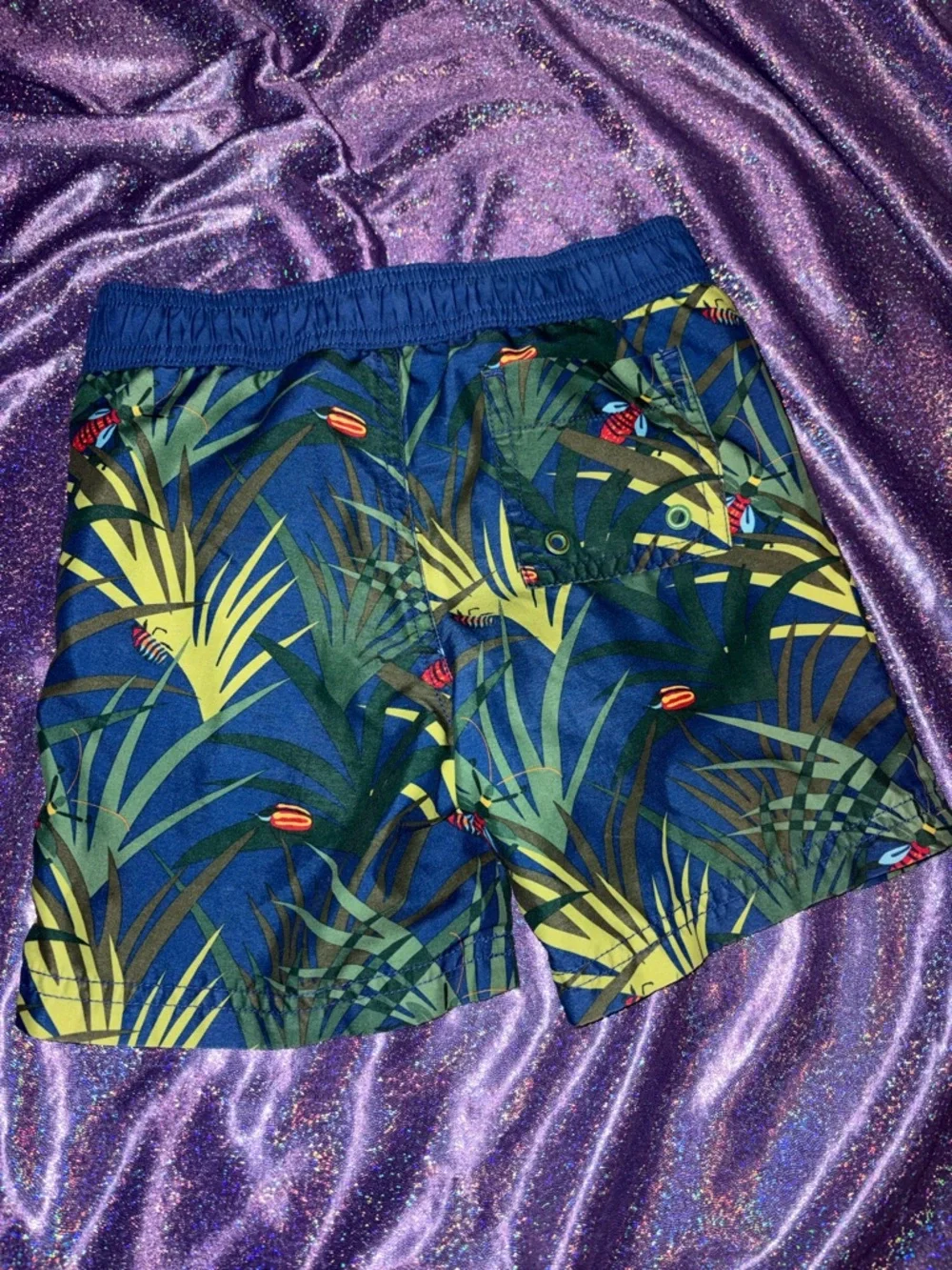 Boys Gymboree Bugs Swim Trunks